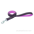 Nylon Dog Leaseh-Frong Durable Tradition Style Leash